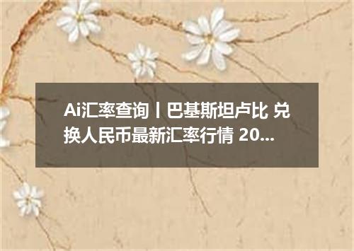 Ai汇率查询丨巴基斯坦卢比 兑换人民币最新汇率行情 2026年09月09日