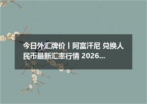 今日外汇牌价丨阿富汗尼 兑换人民币最新汇率行情 2026年04月15日