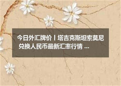 今日外汇牌价丨塔吉克斯坦索莫尼 兑换人民币最新汇率行情 2026年04月17日