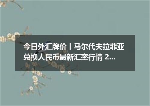 今日外汇牌价丨马尔代夫拉菲亚 兑换人民币最新汇率行情 2026年04月18日
