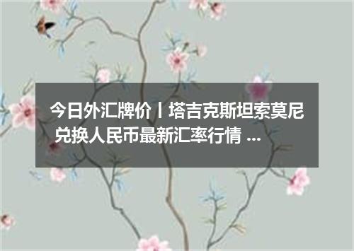 今日外汇牌价丨塔吉克斯坦索莫尼 兑换人民币最新汇率行情 2026年04月19日
