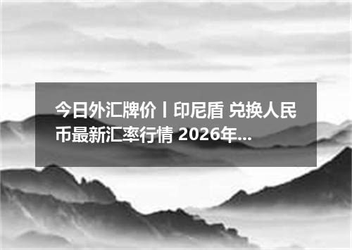 今日外汇牌价丨印尼盾 兑换人民币最新汇率行情 2026年04月20日