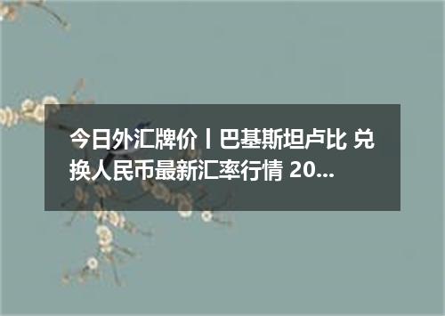 今日外汇牌价丨巴基斯坦卢比 兑换人民币最新汇率行情 2026年04月20日