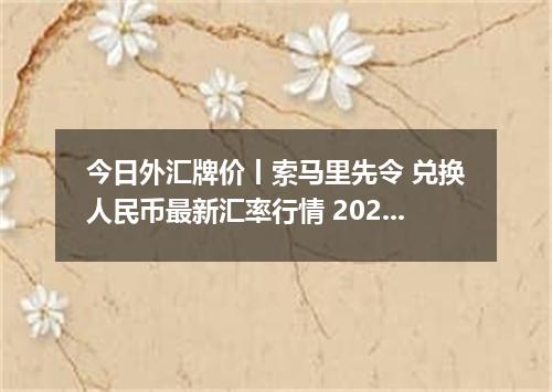 今日外汇牌价丨索马里先令 兑换人民币最新汇率行情 2026年04月29日