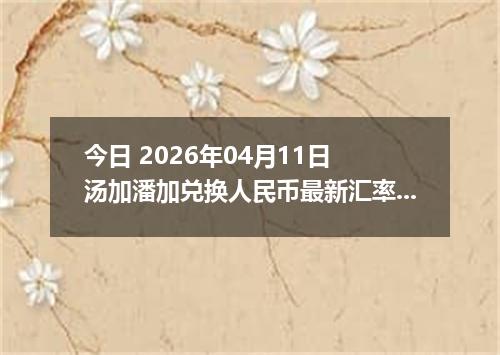 今日 2026年04月11日 汤加潘加兑换人民币最新汇率行情