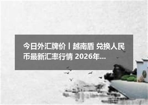今日外汇牌价丨越南盾 兑换人民币最新汇率行情 2026年04月30日