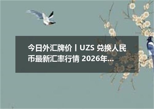 今日外汇牌价丨UZS 兑换人民币最新汇率行情 2026年05月02日