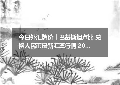 今日外汇牌价丨巴基斯坦卢比 兑换人民币最新汇率行情 2026年05月04日
