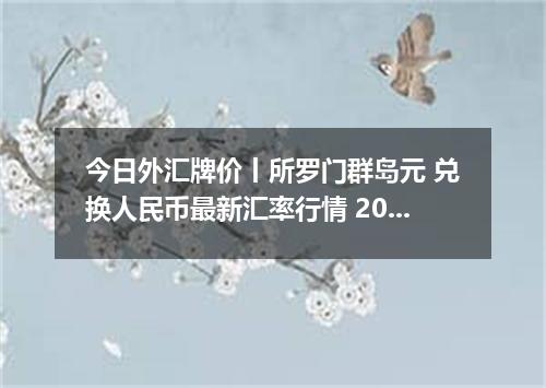 今日外汇牌价丨所罗门群岛元 兑换人民币最新汇率行情 2026年05月04日