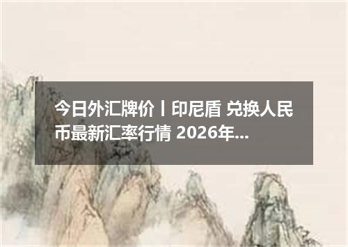 今日外汇牌价丨印尼盾 兑换人民币最新汇率行情 2026年05月06日
