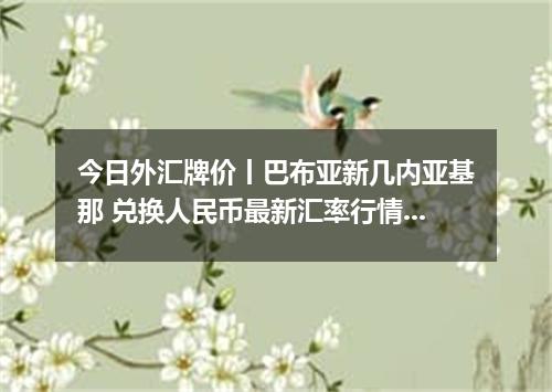 今日外汇牌价丨巴布亚新几内亚基那 兑换人民币最新汇率行情 2026年05月09日