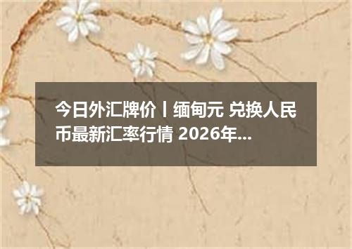 今日外汇牌价丨缅甸元 兑换人民币最新汇率行情 2026年05月09日