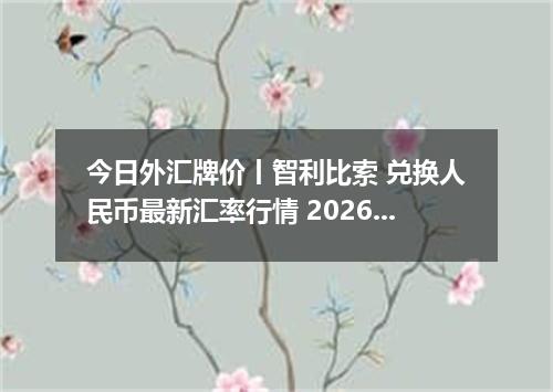 今日外汇牌价丨智利比索 兑换人民币最新汇率行情 2026年05月10日