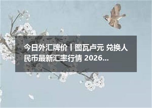 今日外汇牌价丨图瓦卢元 兑换人民币最新汇率行情 2026年05月11日