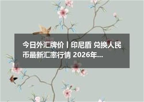今日外汇牌价丨印尼盾 兑换人民币最新汇率行情 2026年05月11日