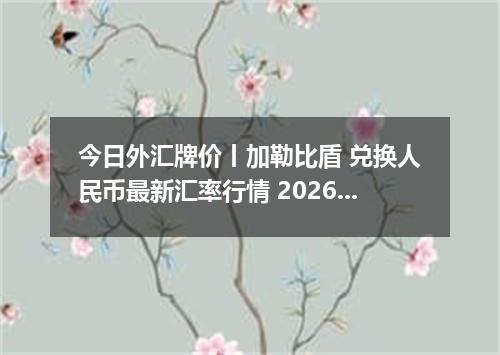 今日外汇牌价丨加勒比盾 兑换人民币最新汇率行情 2026年05月11日