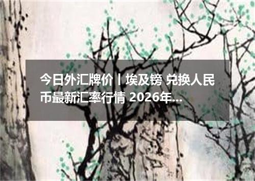 今日外汇牌价丨埃及镑 兑换人民币最新汇率行情 2026年05月12日