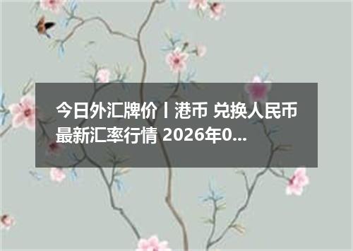 今日外汇牌价丨港币 兑换人民币最新汇率行情 2026年05月12日
