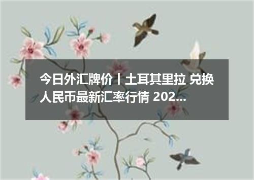 今日外汇牌价丨土耳其里拉 兑换人民币最新汇率行情 2026年05月12日