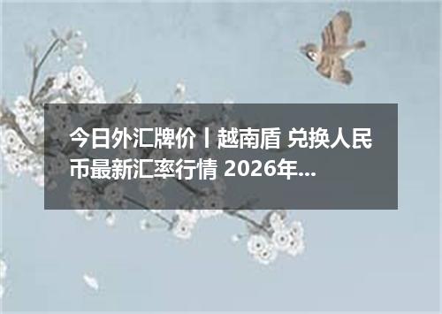 今日外汇牌价丨越南盾 兑换人民币最新汇率行情 2026年05月12日
