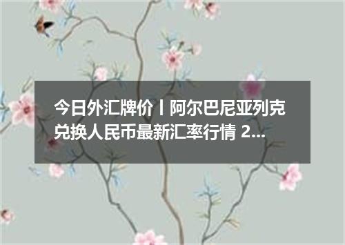 今日外汇牌价丨阿尔巴尼亚列克 兑换人民币最新汇率行情 2026年05月13日