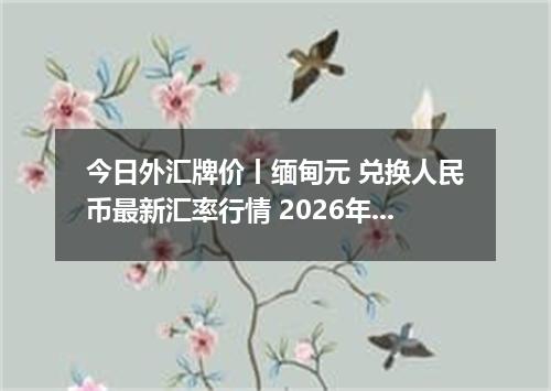 今日外汇牌价丨缅甸元 兑换人民币最新汇率行情 2026年05月13日