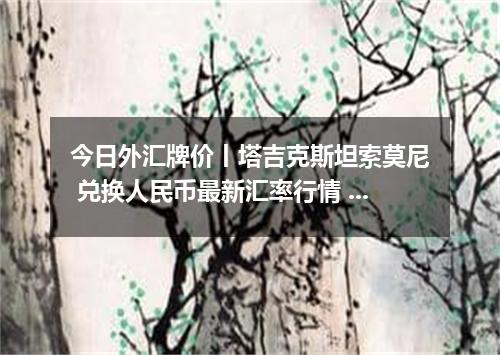 今日外汇牌价丨塔吉克斯坦索莫尼 兑换人民币最新汇率行情 2026年05月13日