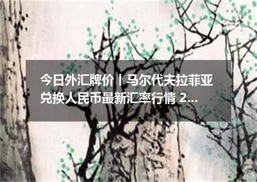 今日外汇牌价丨马尔代夫拉菲亚 兑换人民币最新汇率行情 2026年05月13日