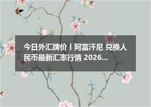 今日外汇牌价丨阿富汗尼 兑换人民币最新汇率行情 2026年05月15日