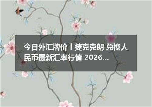 今日外汇牌价丨捷克克朗 兑换人民币最新汇率行情 2026年05月15日