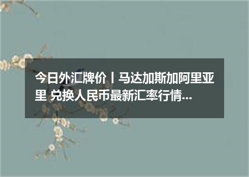 今日外汇牌价丨马达加斯加阿里亚里 兑换人民币最新汇率行情 2026年05月15日