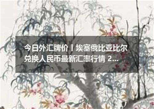 今日外汇牌价丨埃塞俄比亚比尔 兑换人民币最新汇率行情 2026年05月16日