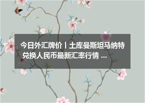 今日外汇牌价丨土库曼斯坦马纳特 兑换人民币最新汇率行情 2026年05月16日
