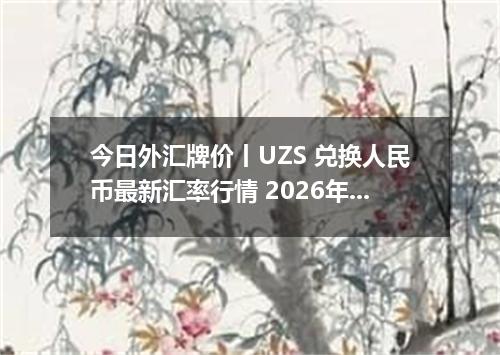 今日外汇牌价丨UZS 兑换人民币最新汇率行情 2026年05月16日