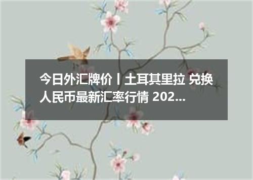 今日外汇牌价丨土耳其里拉 兑换人民币最新汇率行情 2026年05月17日