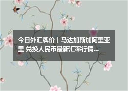 今日外汇牌价丨马达加斯加阿里亚里 兑换人民币最新汇率行情 2026年05月17日