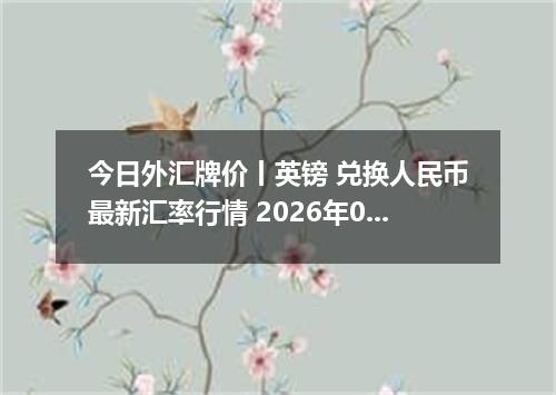 今日外汇牌价丨英镑 兑换人民币最新汇率行情 2026年05月17日