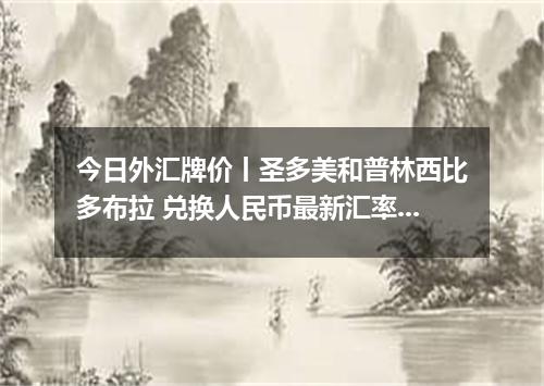 今日外汇牌价丨圣多美和普林西比多布拉 兑换人民币最新汇率行情 2026年05月19日