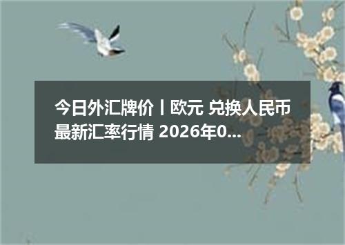 今日外汇牌价丨欧元 兑换人民币最新汇率行情 2026年05月20日