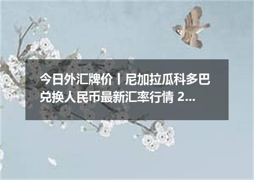 今日外汇牌价丨尼加拉瓜科多巴 兑换人民币最新汇率行情 2026年05月20日