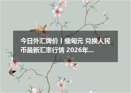 今日外汇牌价丨缅甸元 兑换人民币最新汇率行情 2026年05月21日