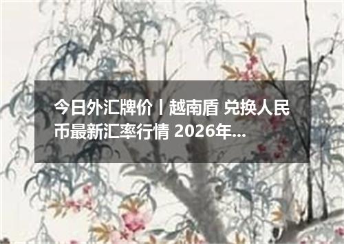 今日外汇牌价丨越南盾 兑换人民币最新汇率行情 2026年05月22日