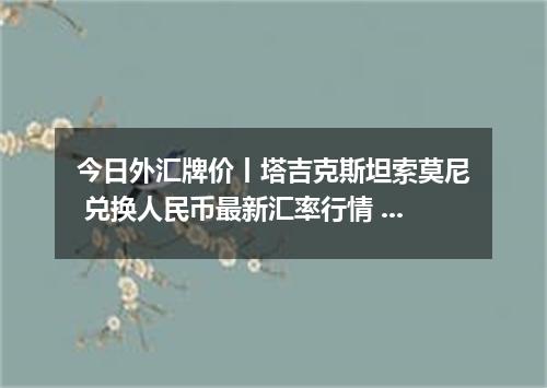 今日外汇牌价丨塔吉克斯坦索莫尼 兑换人民币最新汇率行情 2026年05月23日