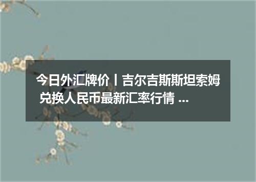 今日外汇牌价丨吉尔吉斯斯坦索姆 兑换人民币最新汇率行情 2026年05月23日