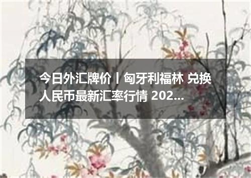 今日外汇牌价丨匈牙利福林 兑换人民币最新汇率行情 2026年05月24日