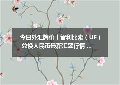 今日外汇牌价丨智利比索（UF） 兑换人民币最新汇率行情 2026年05月24日