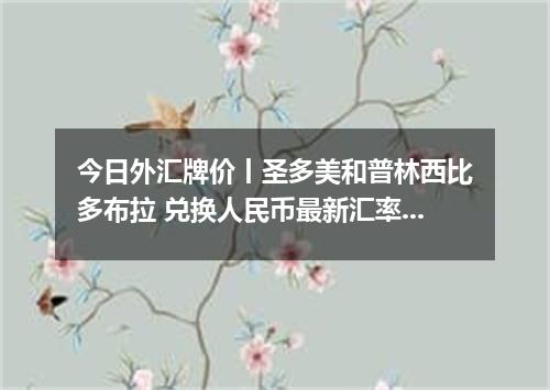 今日外汇牌价丨圣多美和普林西比多布拉 兑换人民币最新汇率行情 2026年05月24日