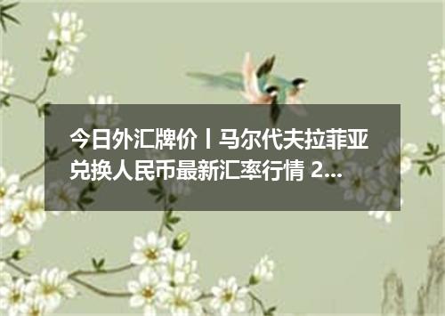 今日外汇牌价丨马尔代夫拉菲亚 兑换人民币最新汇率行情 2026年05月24日