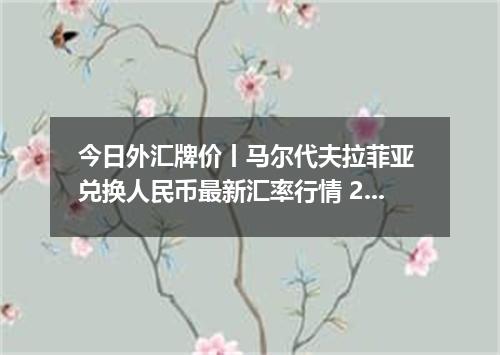 今日外汇牌价丨马尔代夫拉菲亚 兑换人民币最新汇率行情 2026年04月12日
