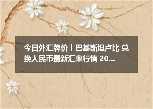 今日外汇牌价丨巴基斯坦卢比 兑换人民币最新汇率行情 2026年04月12日